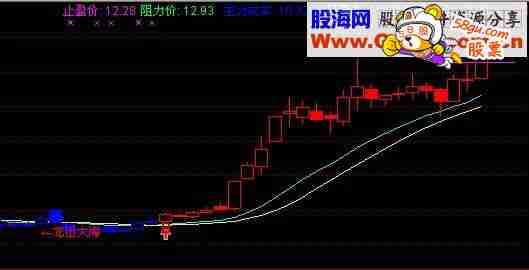 神龙出大海了 赚钱就简单了
